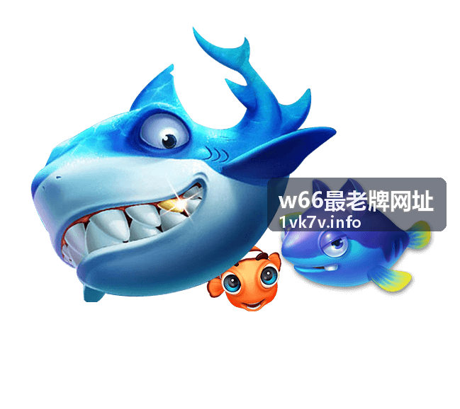 入口选择要点相关图示 w66最老牌网址